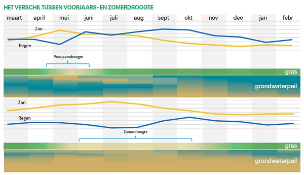 Het verschil tussen voorjaars- en zomerdroogte | DLF